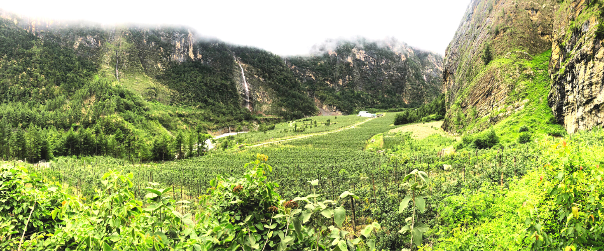 Manang Valley wine apple orchard